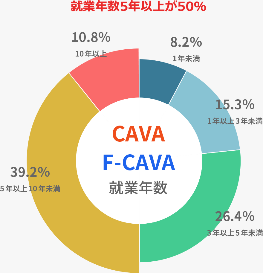 CAVAスタッフの地域構成