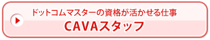 ドットコムマスターの資格が活かせる仕事 CAVAスタッフ